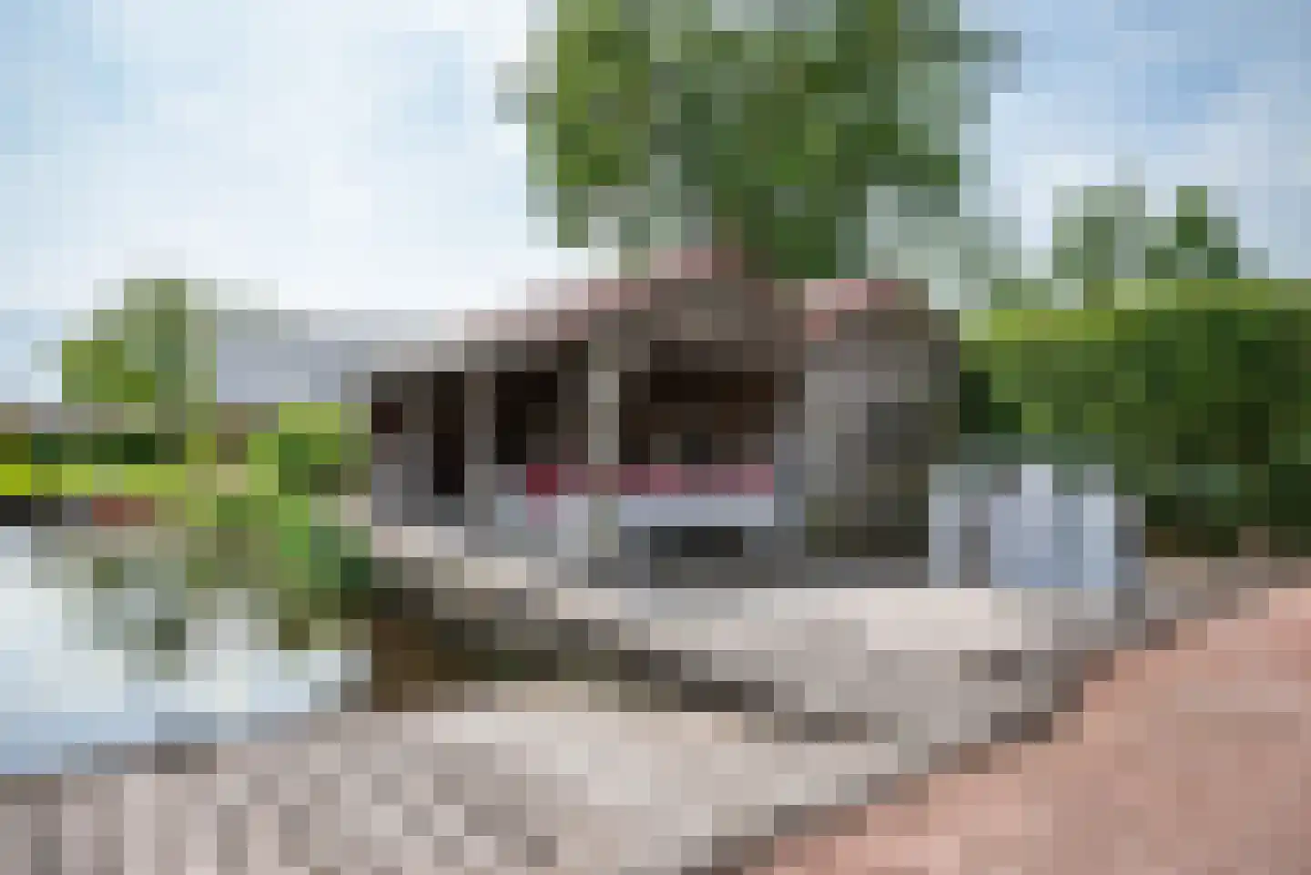 Greate Súdein 33 Uitwellingerga thumbnail 74