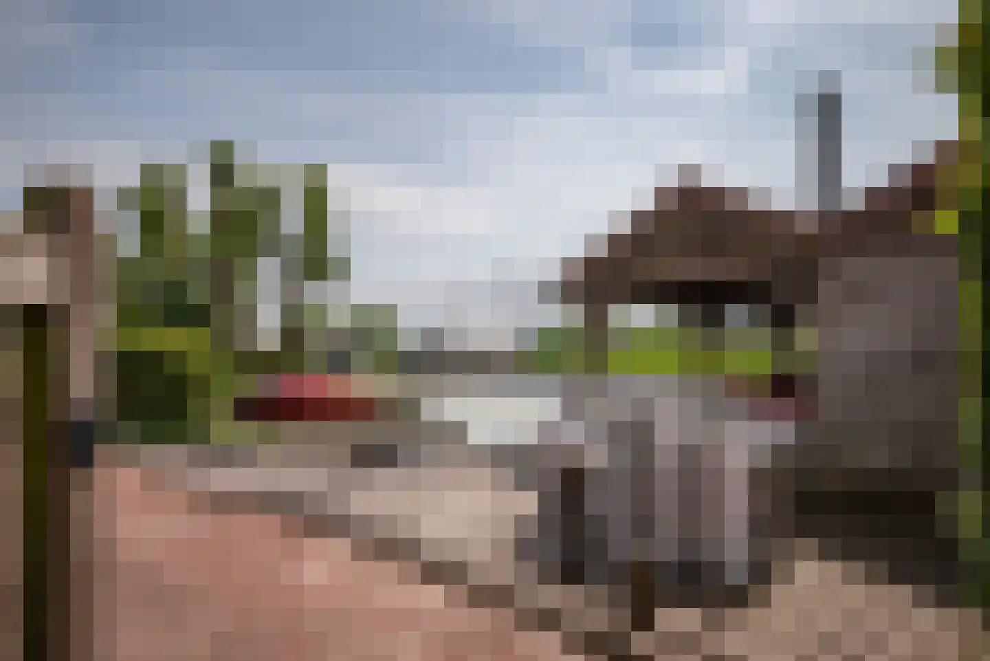 Greate Súdein 33 Uitwellingerga thumbnail 75