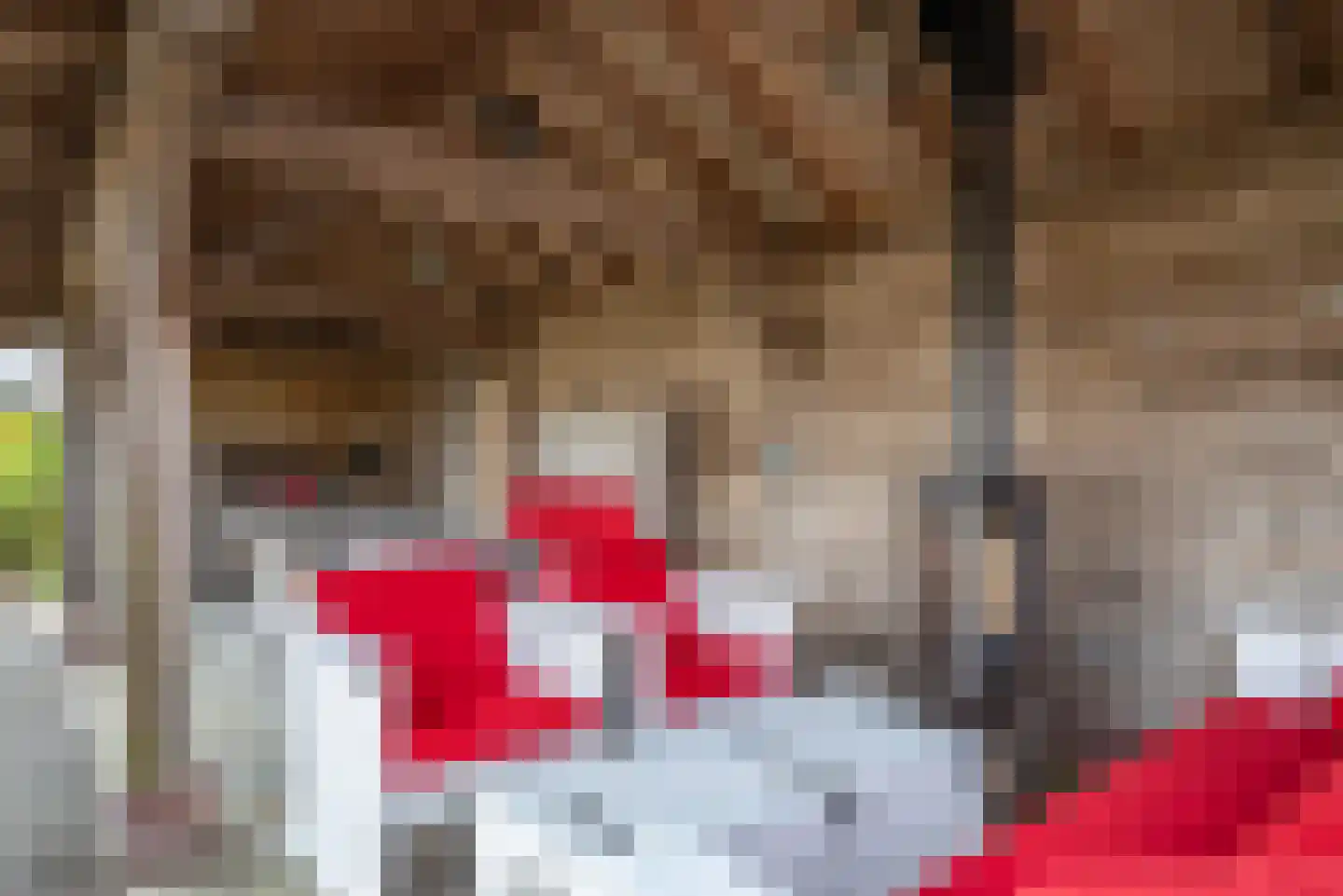 Greate Súdein 33 Uitwellingerga thumbnail 76