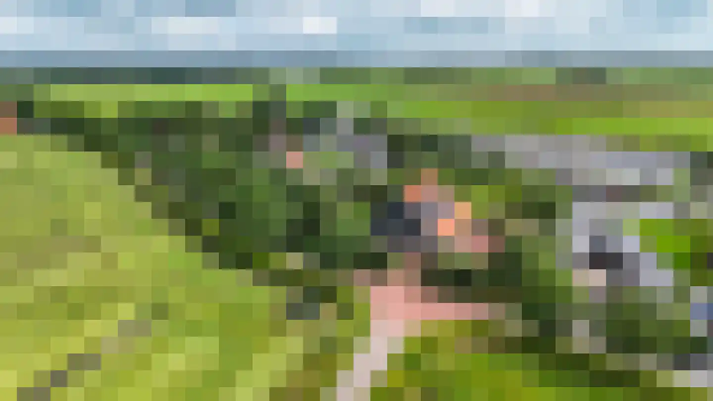 Greate Súdein 33 Uitwellingerga thumbnail 79