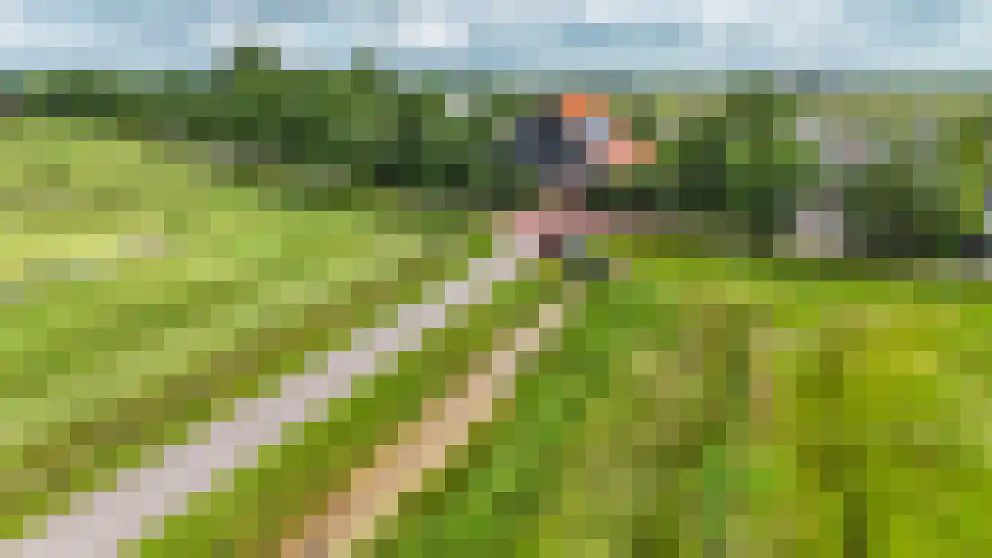 Greate Súdein 33 Uitwellingerga thumbnail 80