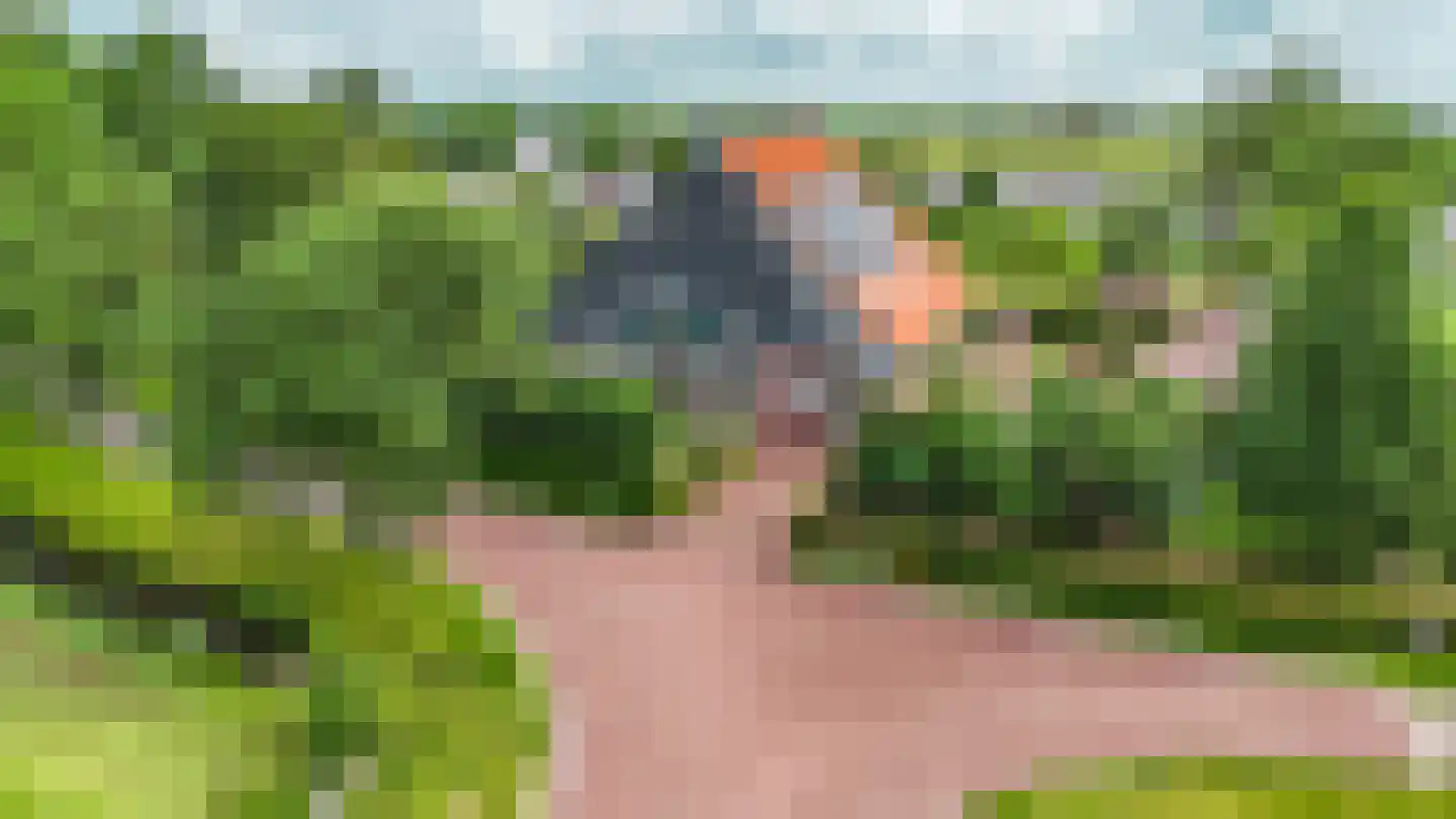 Greate Súdein 33 Uitwellingerga thumbnail 81