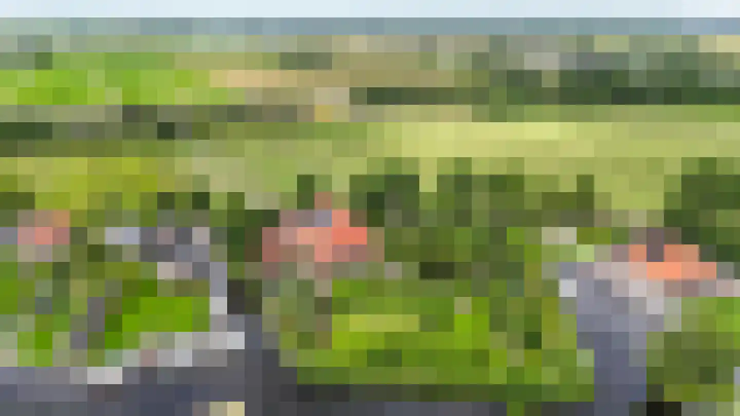 Greate Súdein 33 Uitwellingerga thumbnail 82