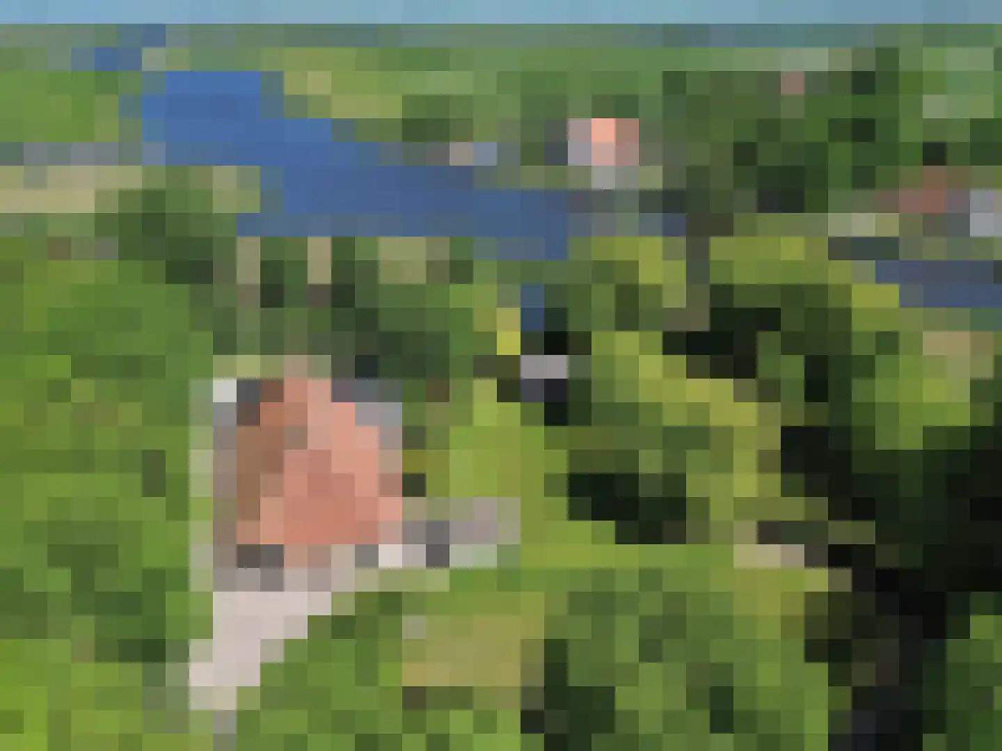 Greate Súdein 6 Uitwellingerga