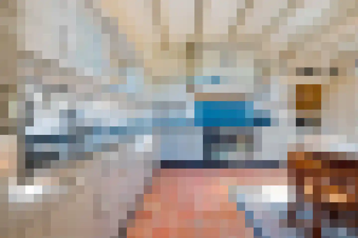Greate Súdein 6 Uitwellingerga thumbnail 19