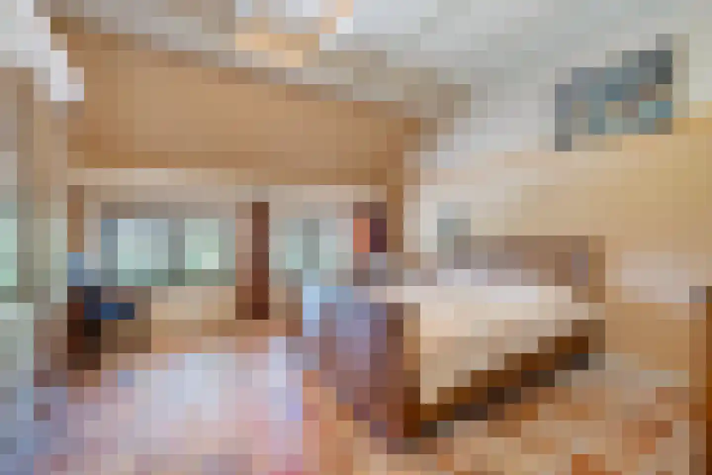 Greate Súdein 6 Uitwellingerga thumbnail 28