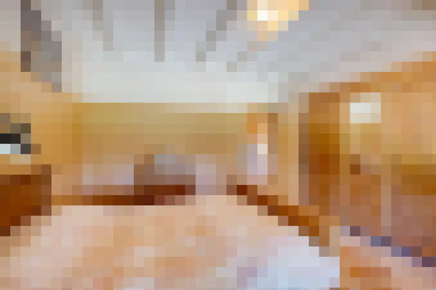 Greate Súdein 6 Uitwellingerga thumbnail 29