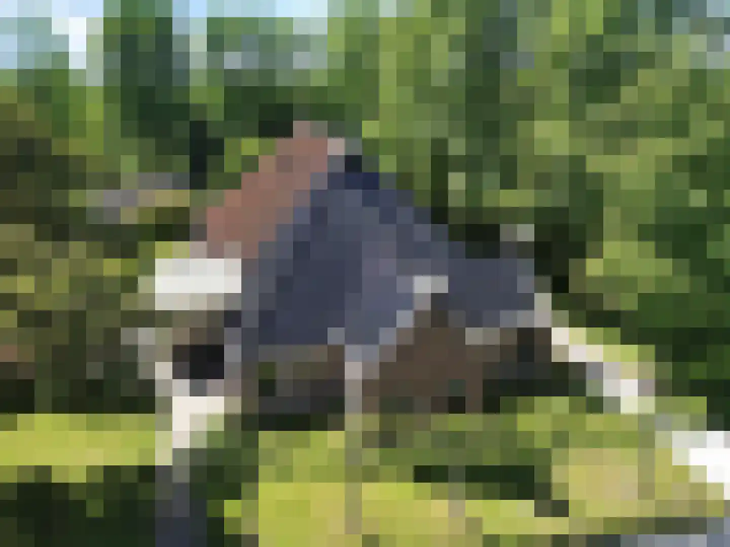 Greate Súdein 6 Uitwellingerga foto 3