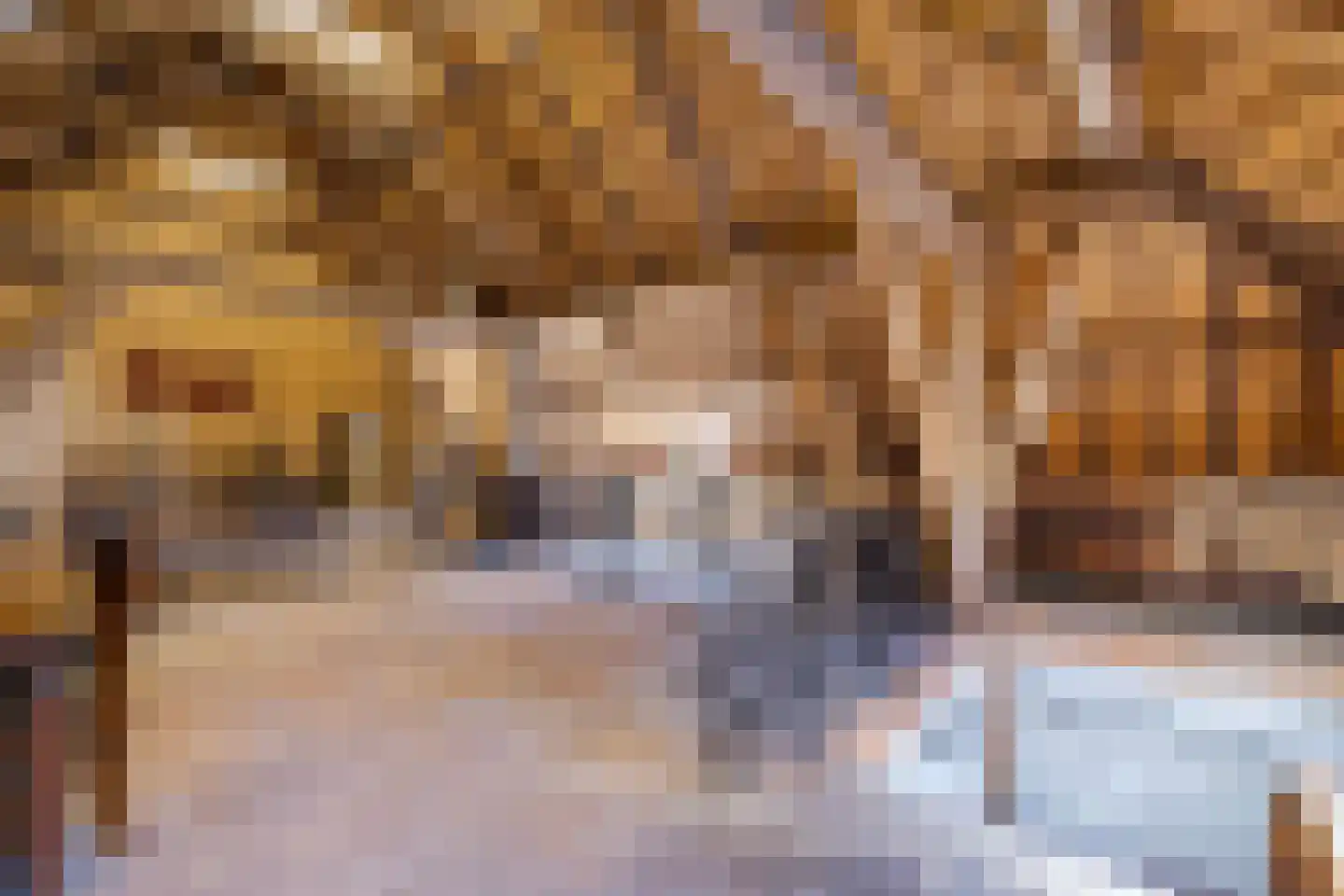 Greate Súdein 6 Uitwellingerga thumbnail 37
