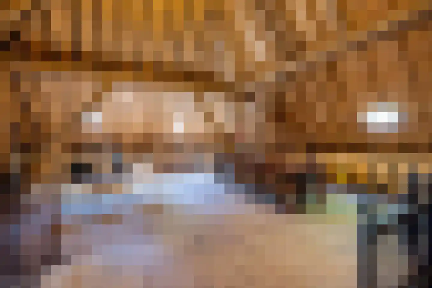 Greate Súdein 6 Uitwellingerga thumbnail 38