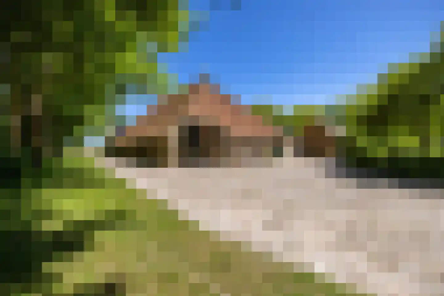 Greate Súdein 6 Uitwellingerga thumbnail 42