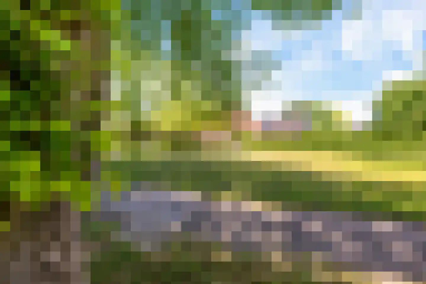 Greate Súdein 6 Uitwellingerga thumbnail 43