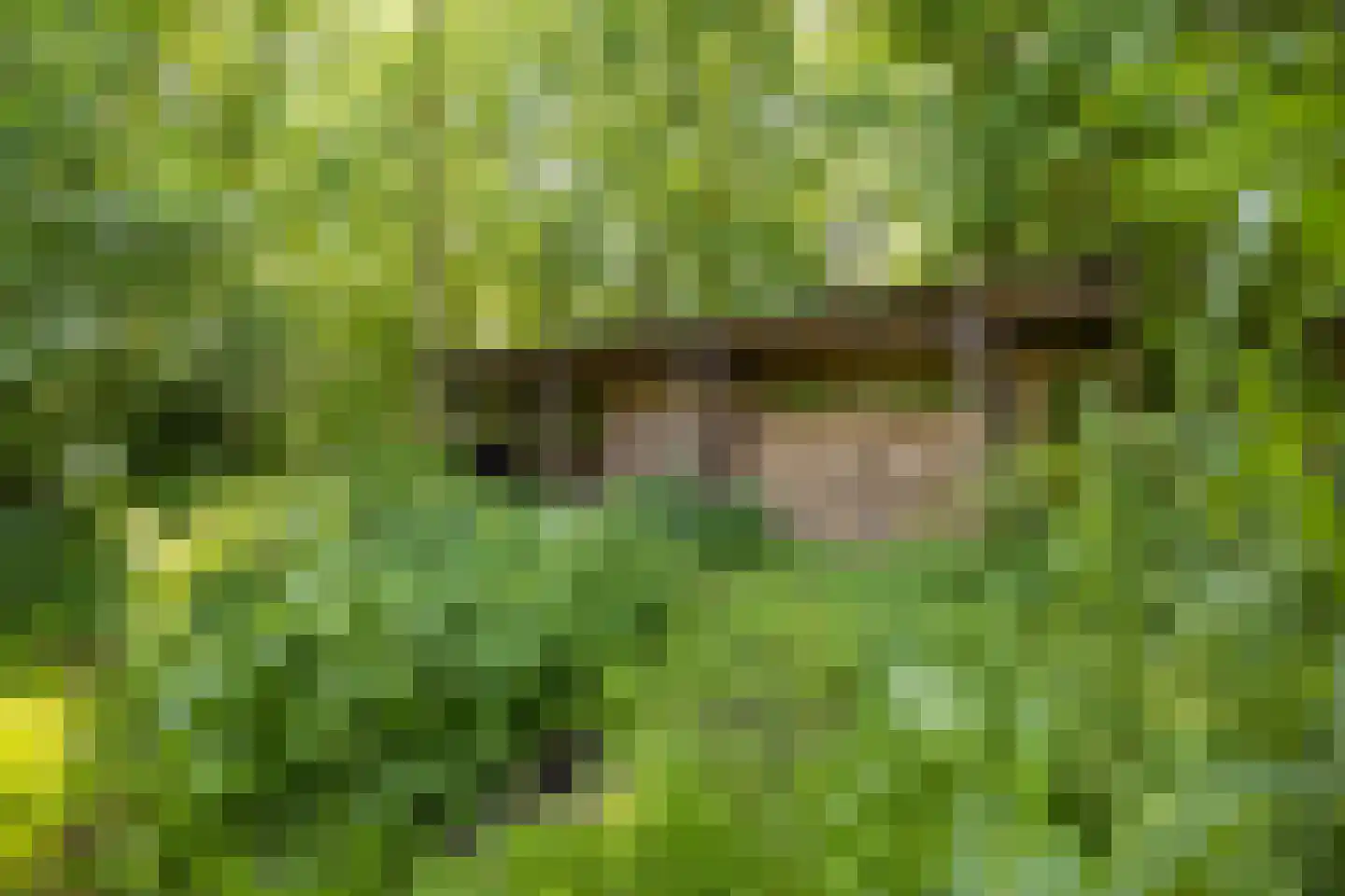 Greate Súdein 6 Uitwellingerga thumbnail 44