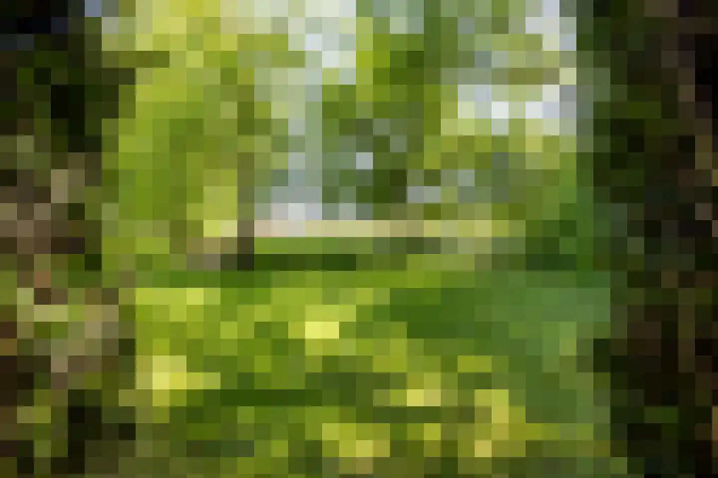 Greate Súdein 6 Uitwellingerga thumbnail 45
