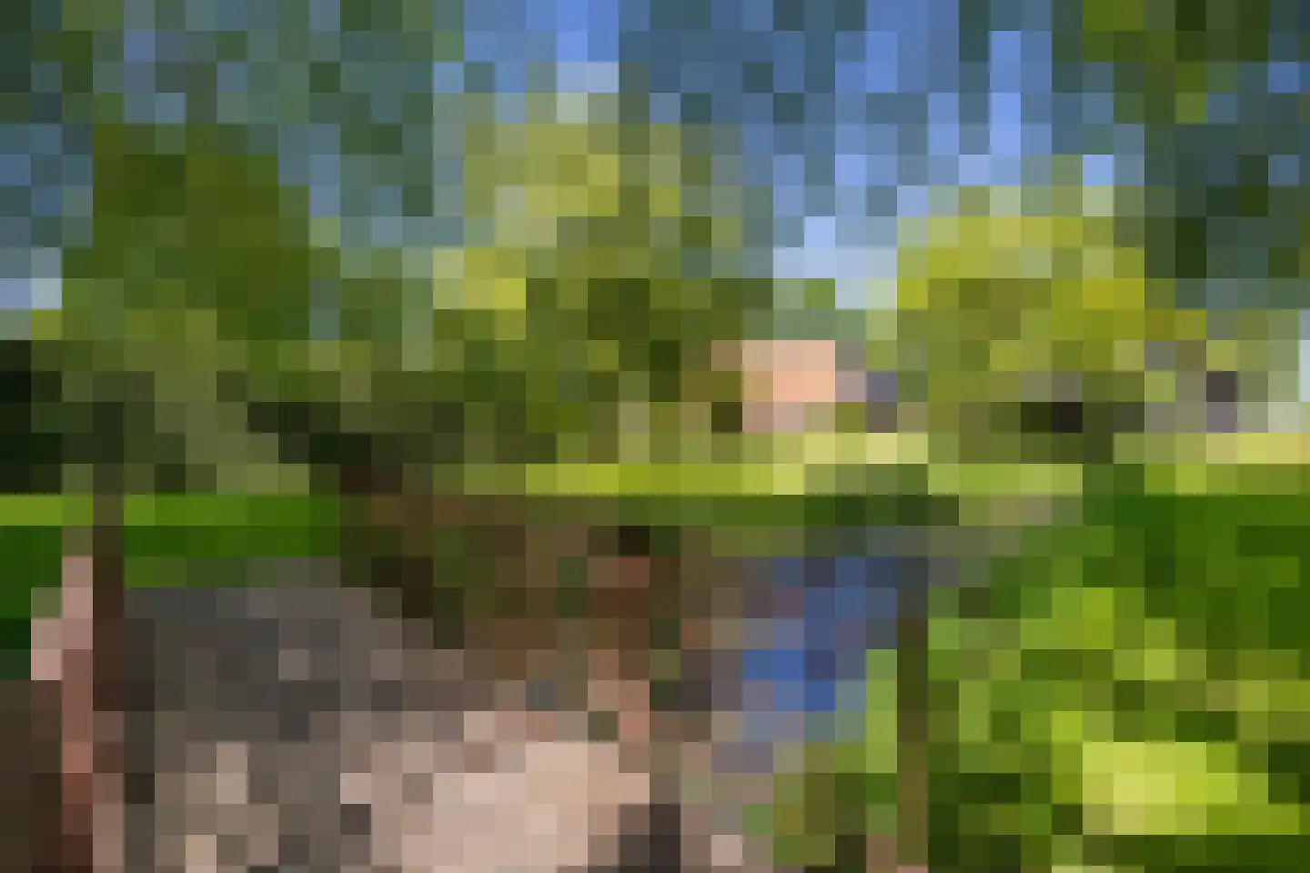 Greate Súdein 6 Uitwellingerga thumbnail 46