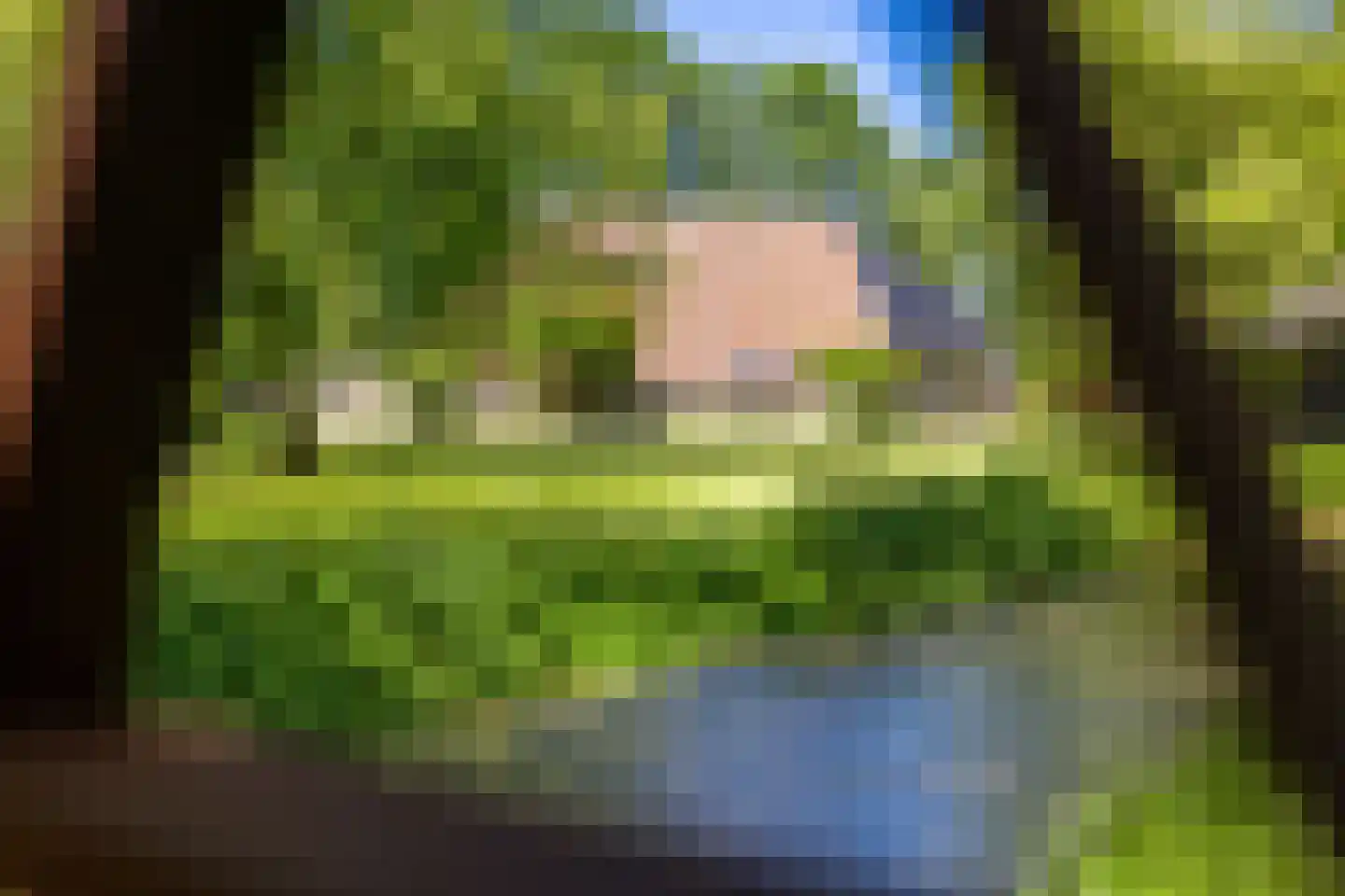 Greate Súdein 6 Uitwellingerga thumbnail 47