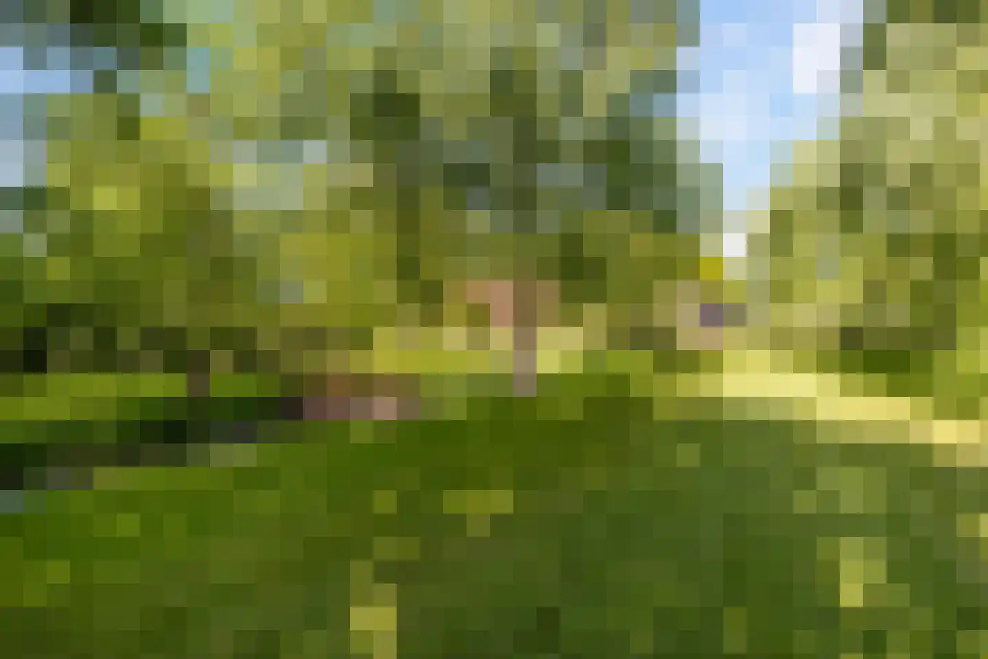 Greate Súdein 6 Uitwellingerga thumbnail 48