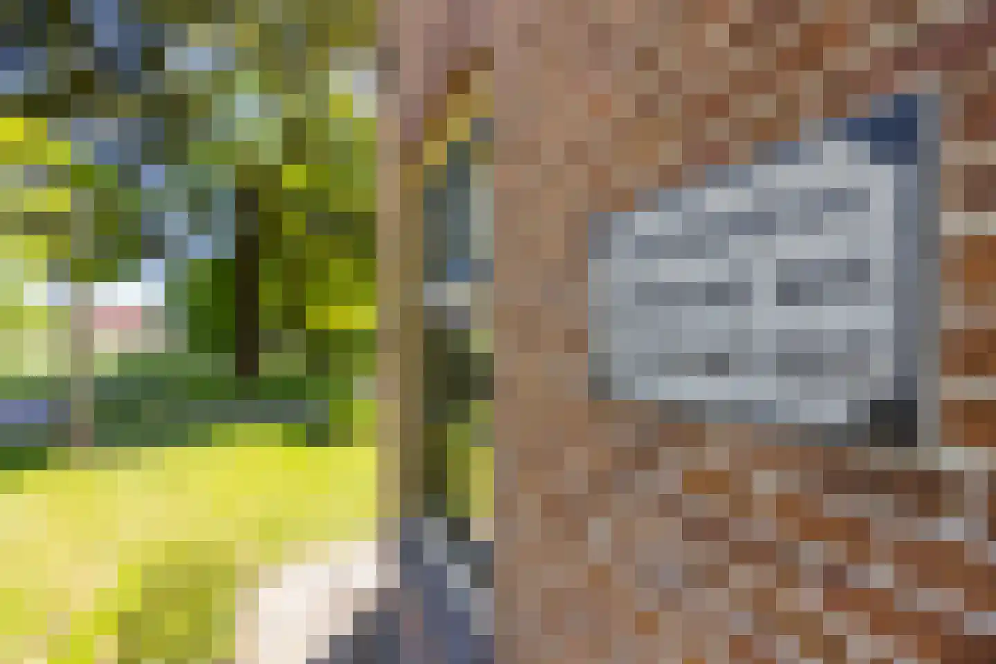 Greate Súdein 6 Uitwellingerga thumbnail 5