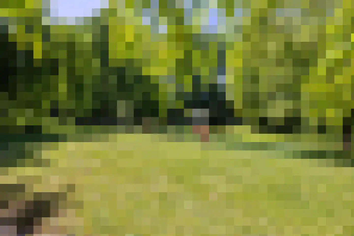 Greate Súdein 6 Uitwellingerga thumbnail 50