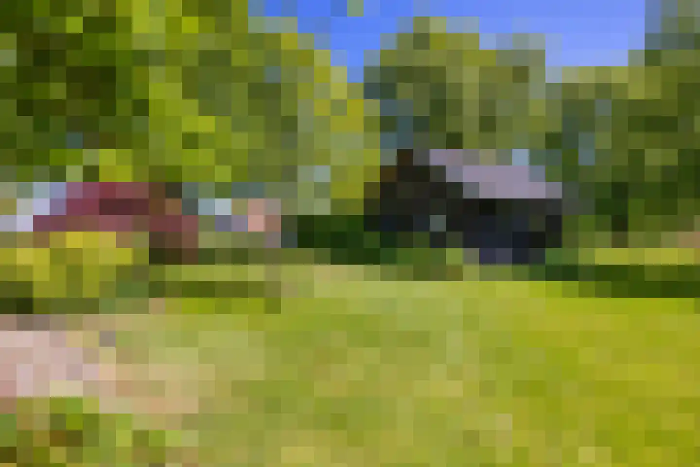 Greate Súdein 6 Uitwellingerga thumbnail 52