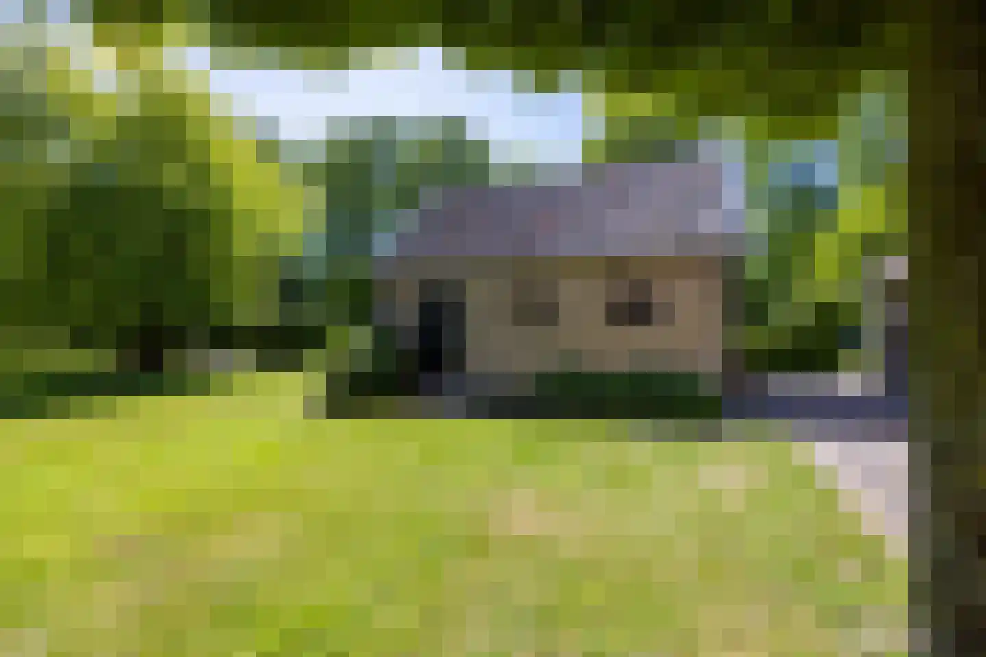 Greate Súdein 6 Uitwellingerga thumbnail 53