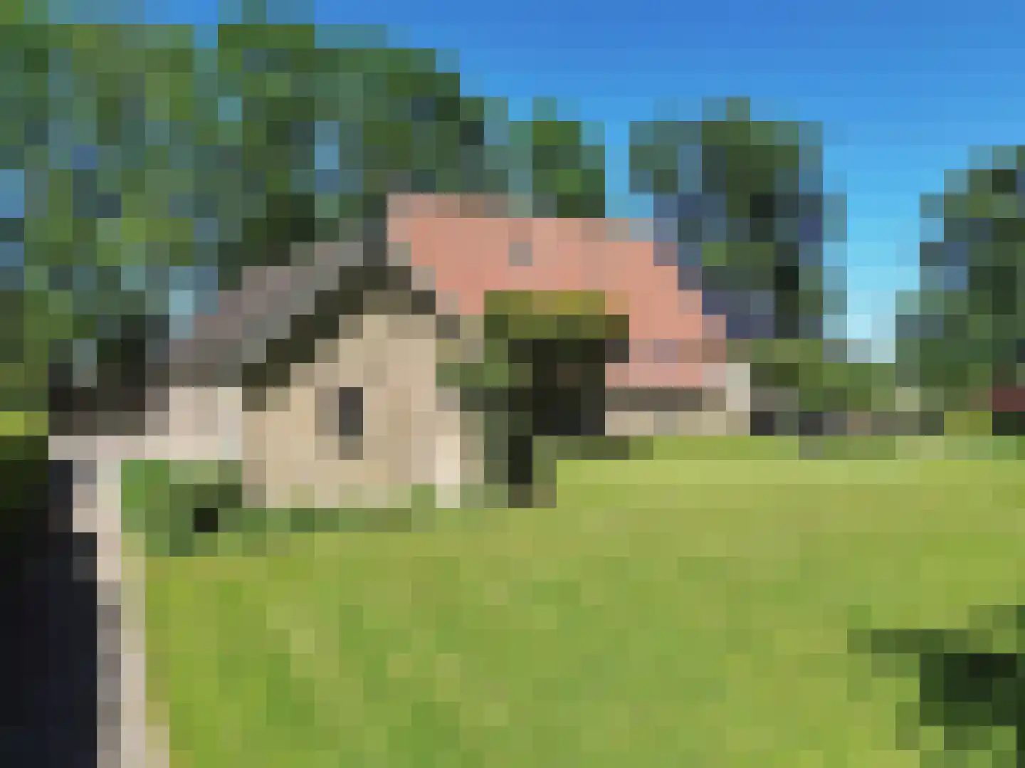 Greate Súdein 6 Uitwellingerga thumbnail 56