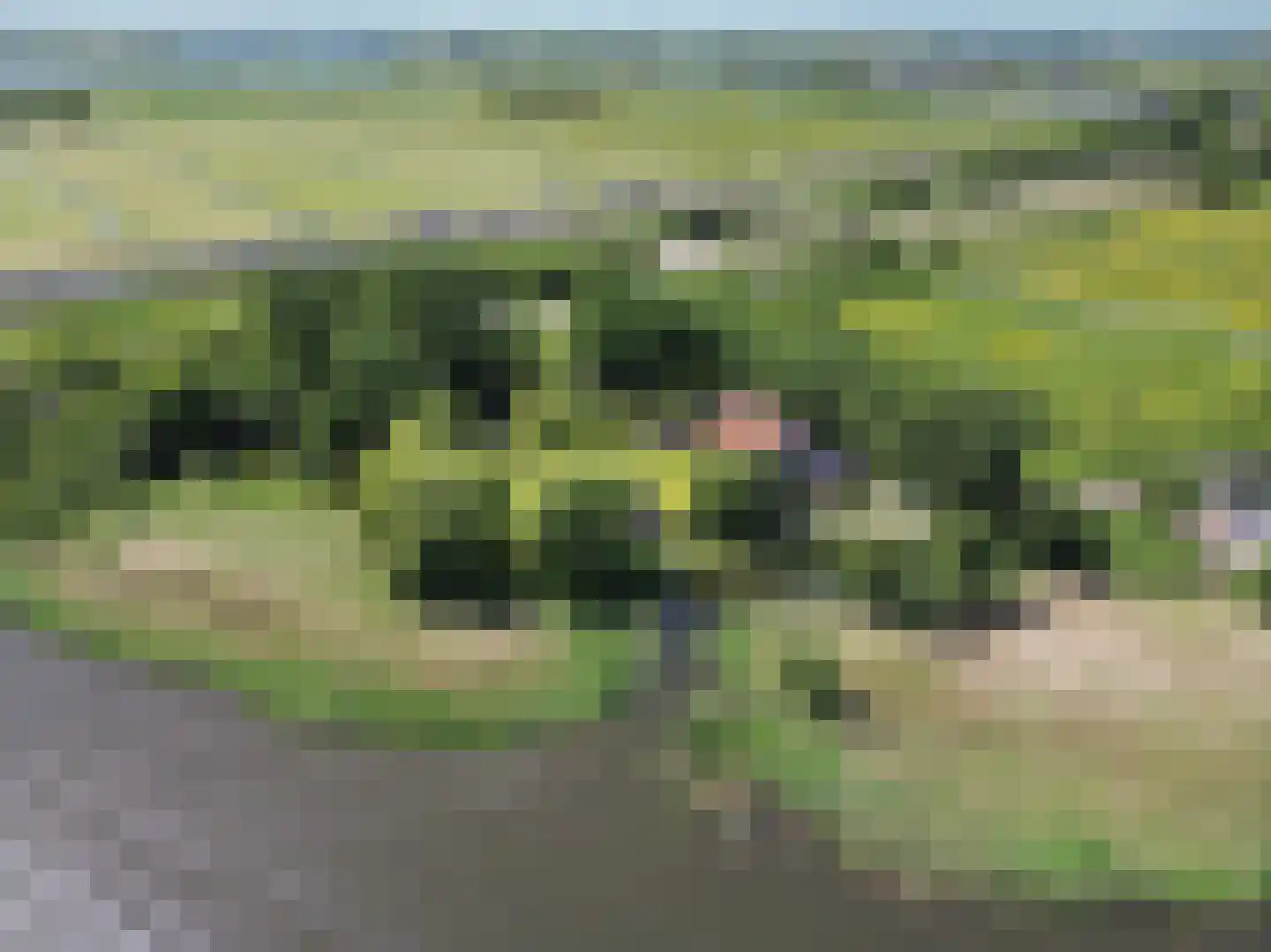 Greate Súdein 6 Uitwellingerga thumbnail 57
