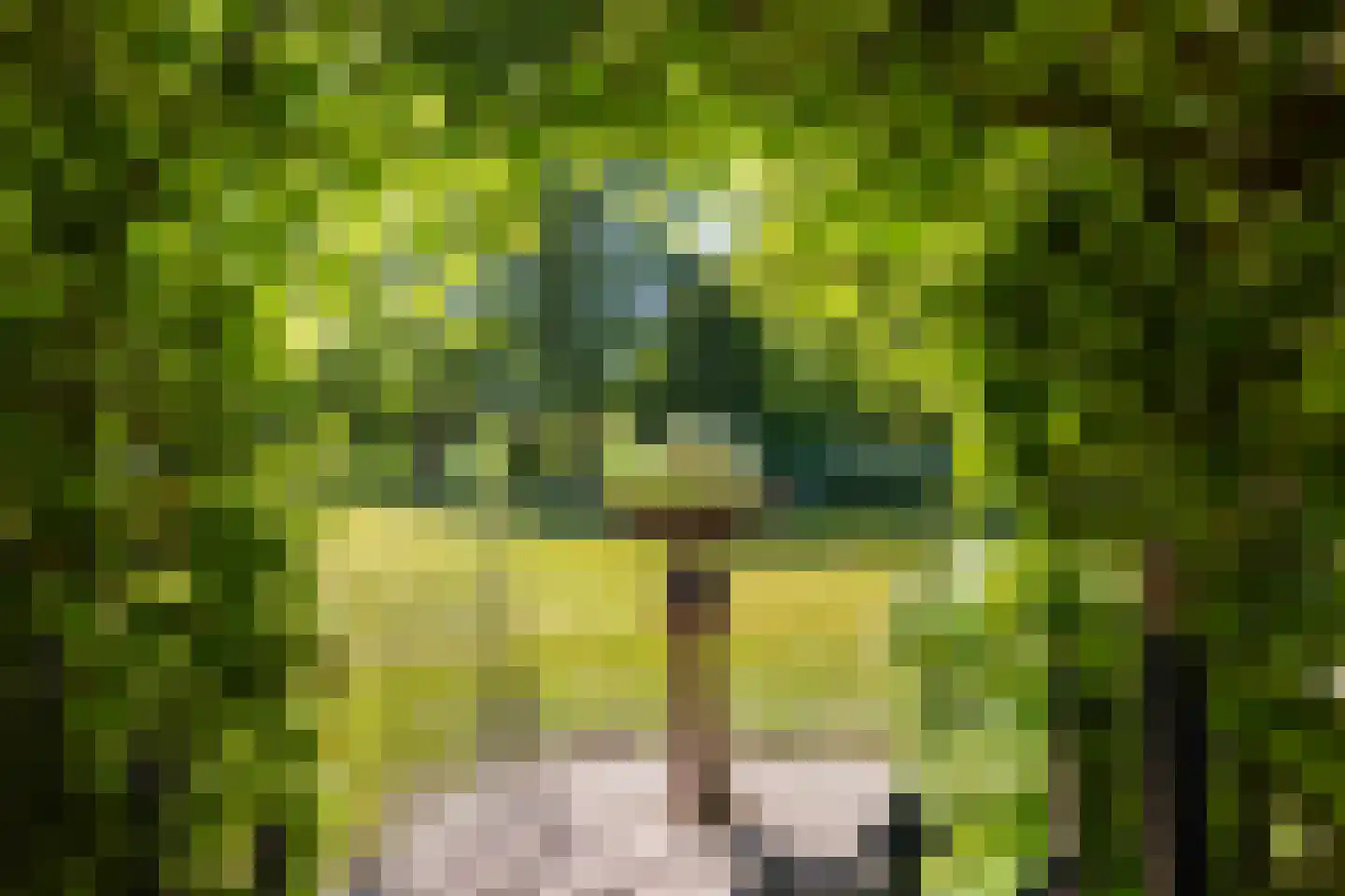 Greate Súdein 6 Uitwellingerga thumbnail 59