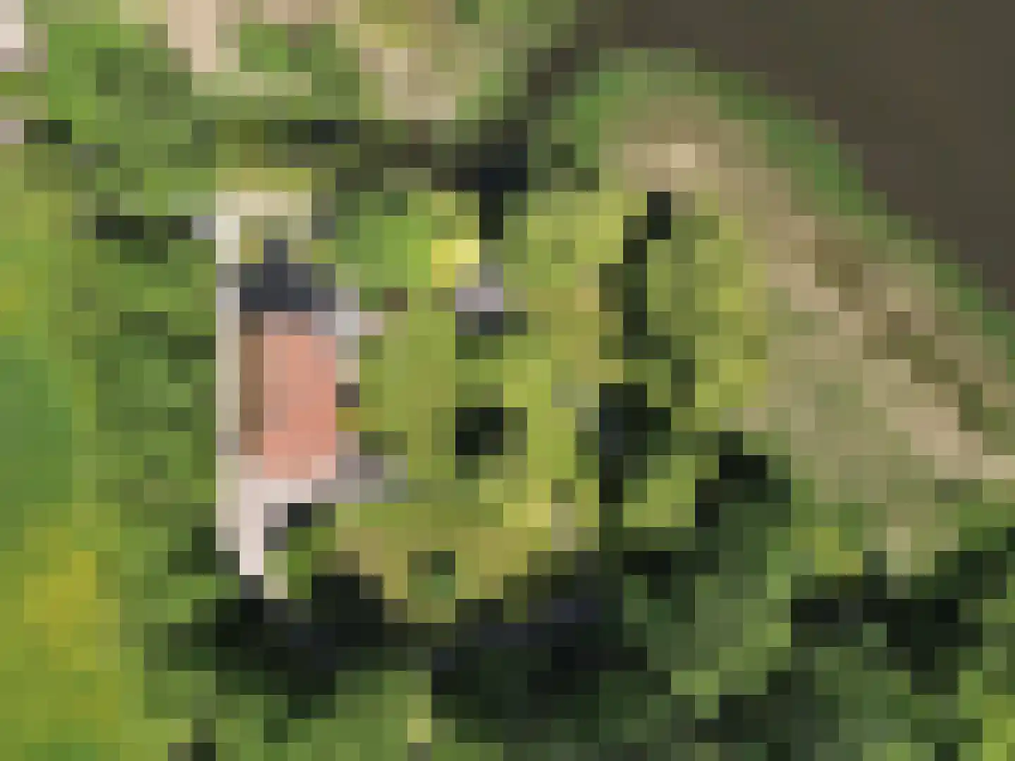 Greate Súdein 6 Uitwellingerga thumbnail 61