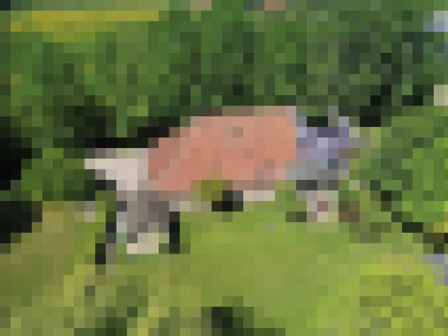 Greate Súdein 6 Uitwellingerga thumbnail 63