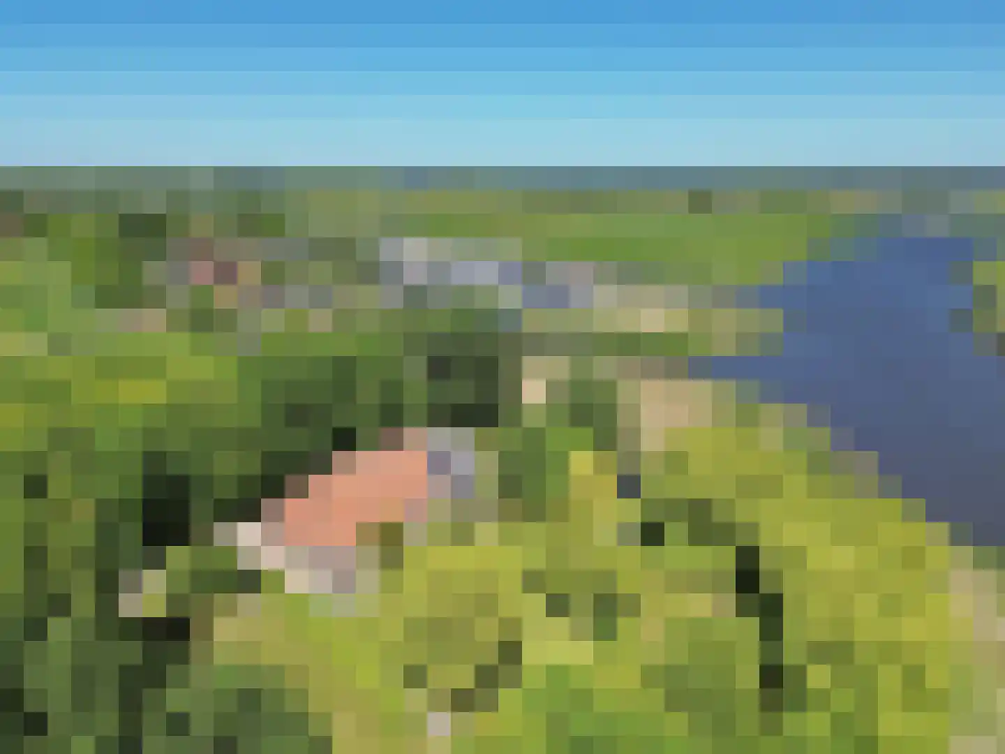 Greate Súdein 6 Uitwellingerga thumbnail 65
