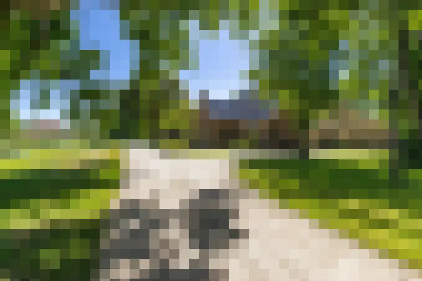 Greate Súdein 6 Uitwellingerga thumbnail 66