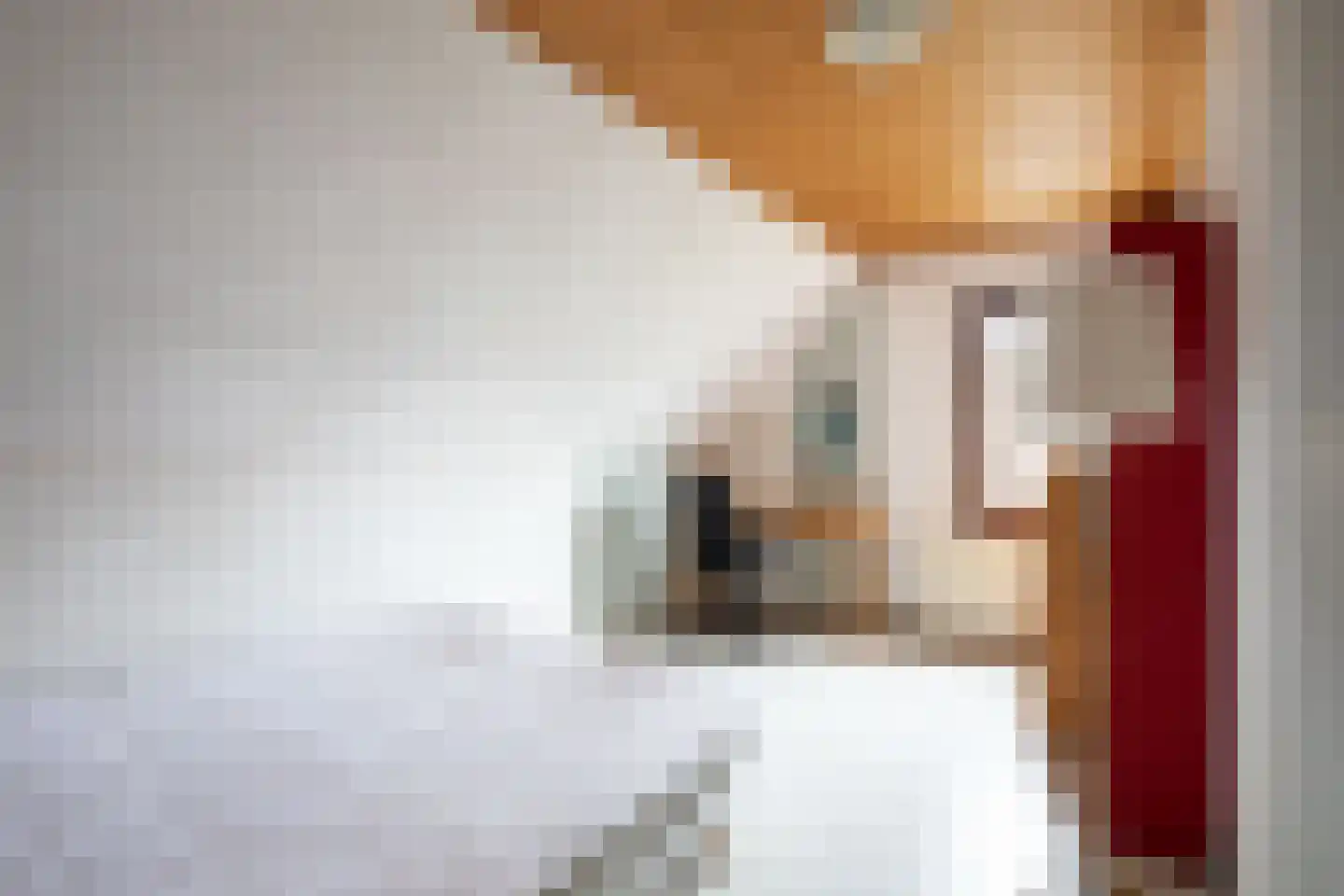 Grebbe 15 Uithoorn thumbnail 24