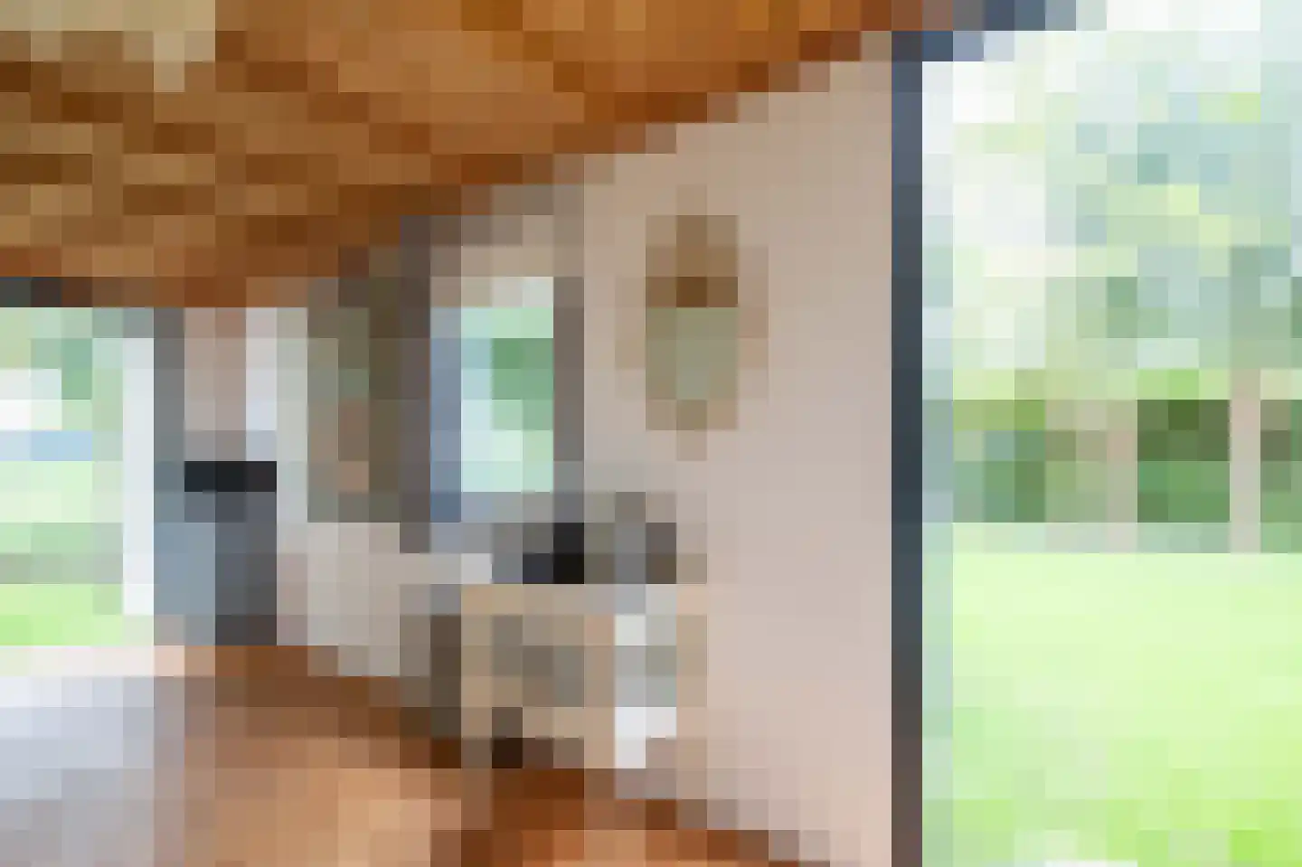 Grebbe 15 Uithoorn thumbnail 28