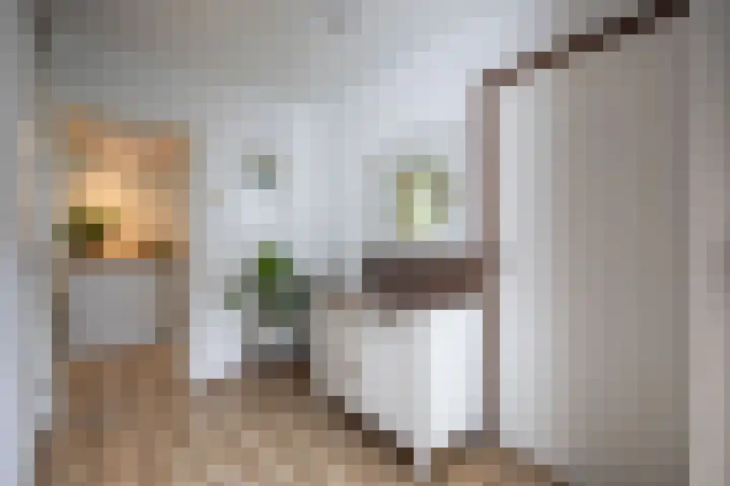 Grebbe 15 Uithoorn thumbnail 7