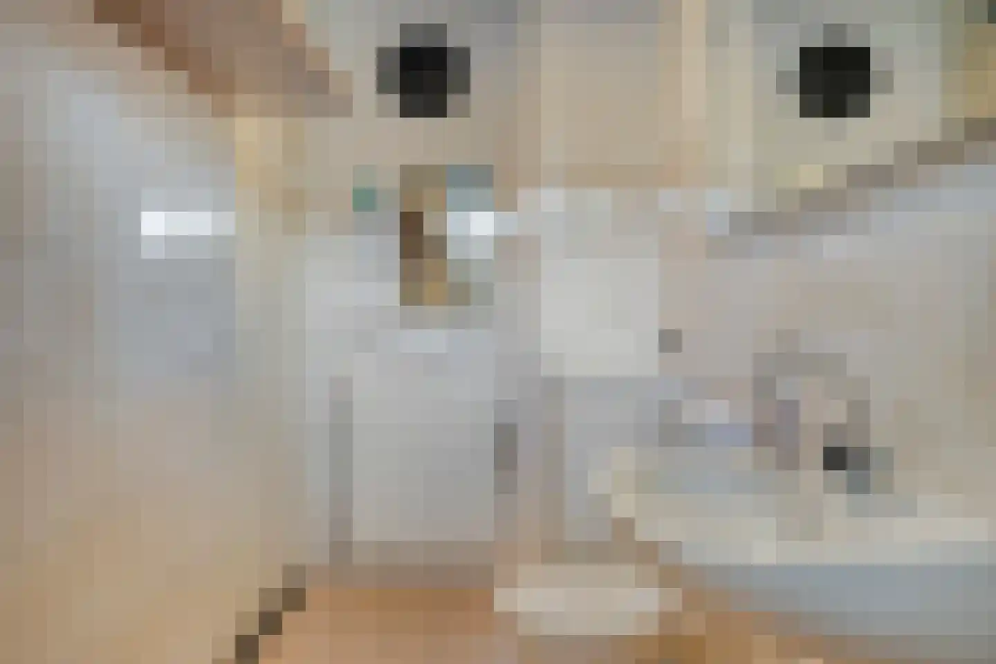 Grebbe 17 Someren thumbnail 21