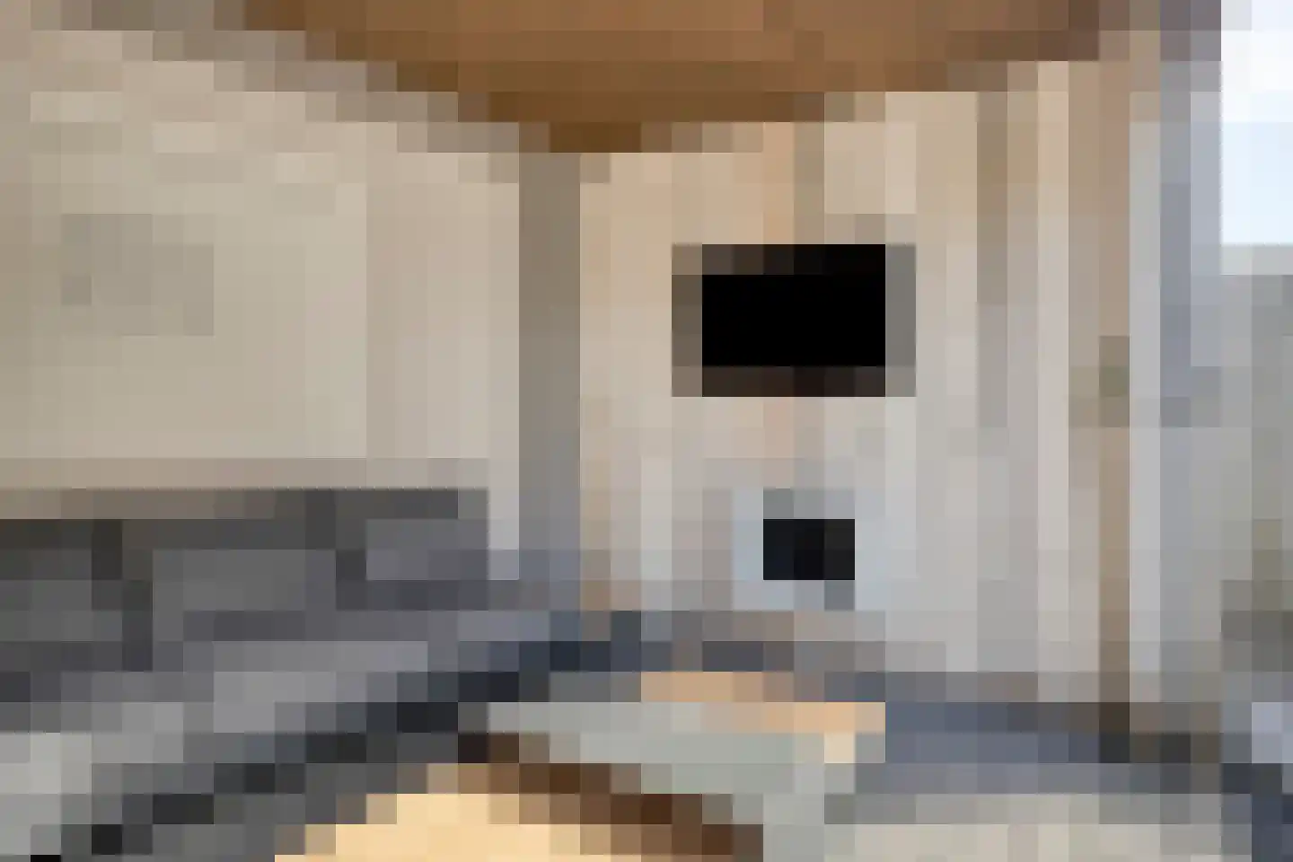 Grebbe 17 Someren thumbnail 30