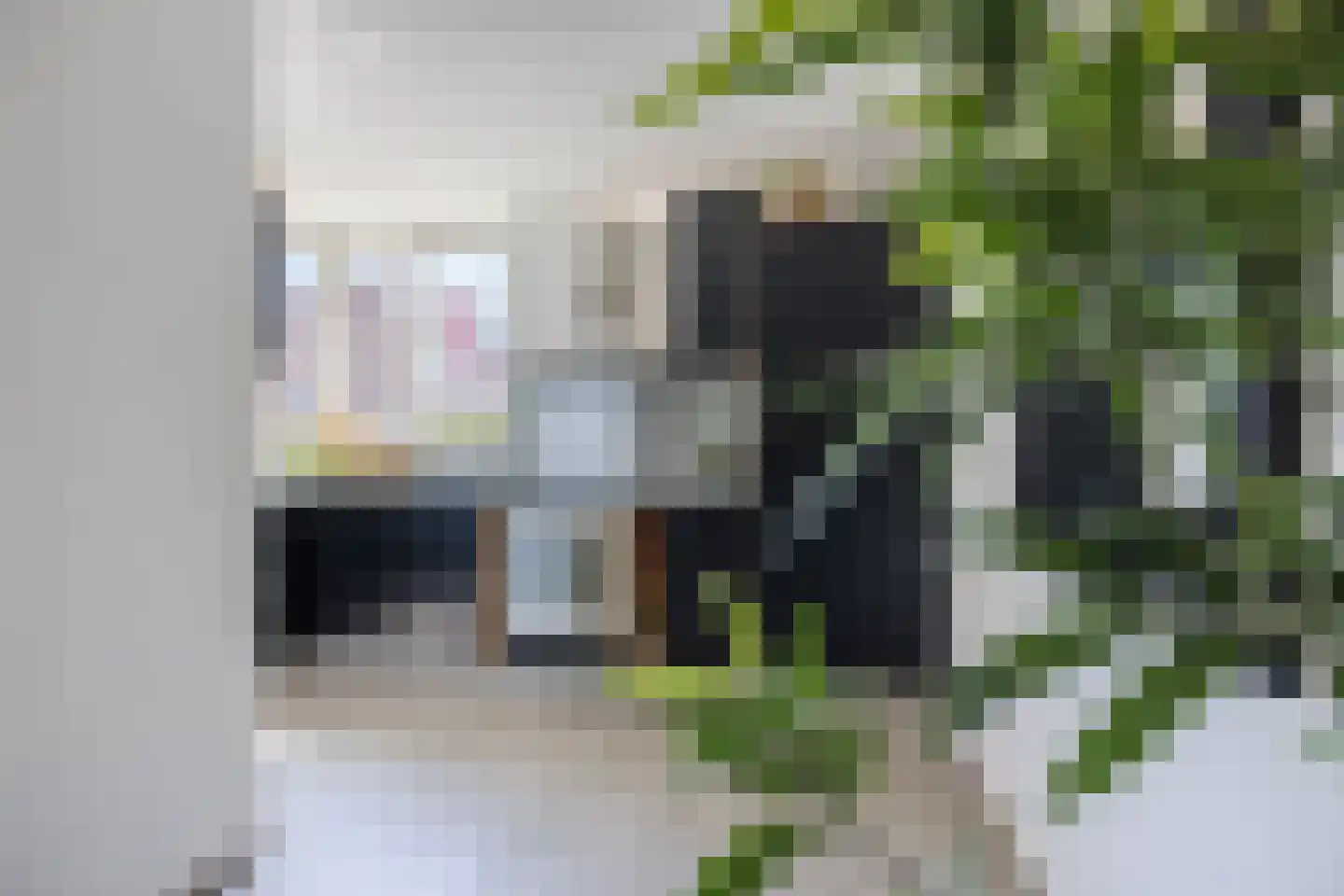 Grebbe 7 Rotterdam thumbnail 11