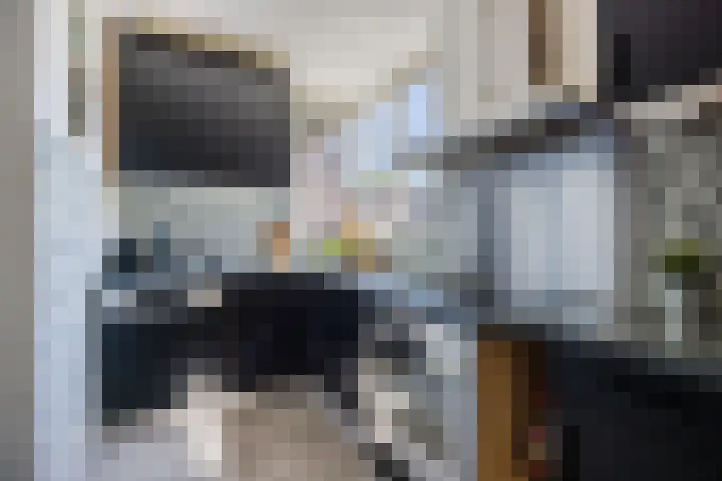 Grebbe 7 Rotterdam thumbnail 13