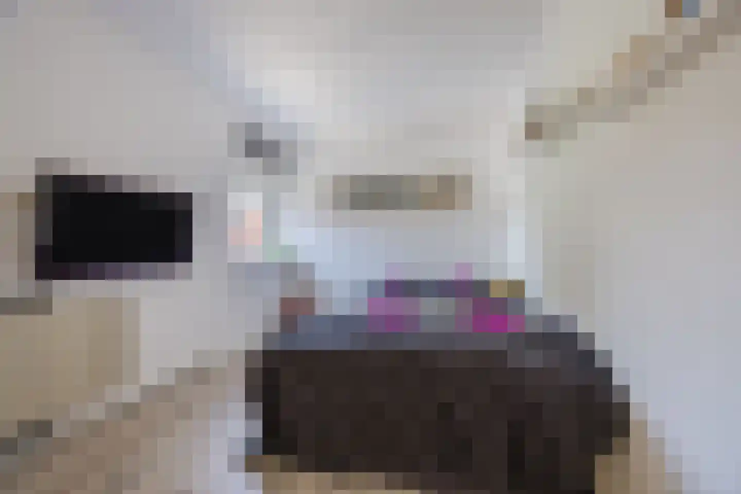Grebbe 7 Rotterdam thumbnail 27