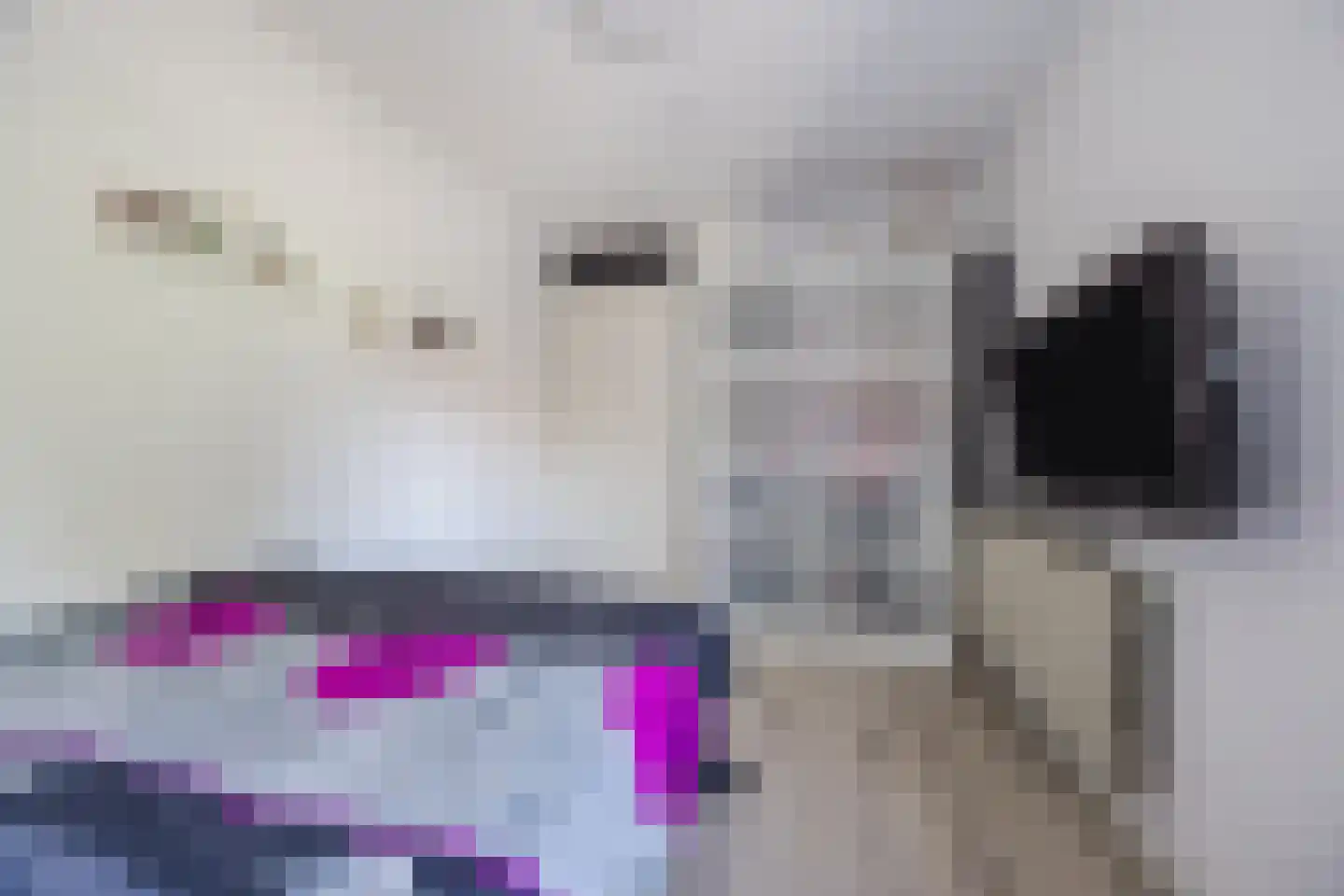 Grebbe 7 Rotterdam thumbnail 28