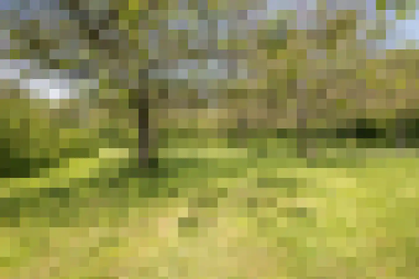 Grebbe 7 Rotterdam thumbnail 34