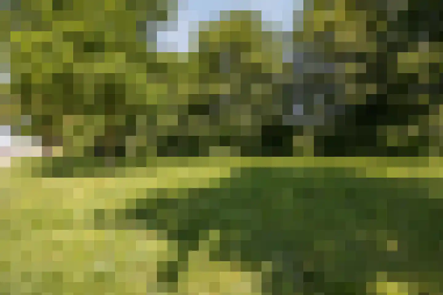 Grebbe 7 Rotterdam thumbnail 35