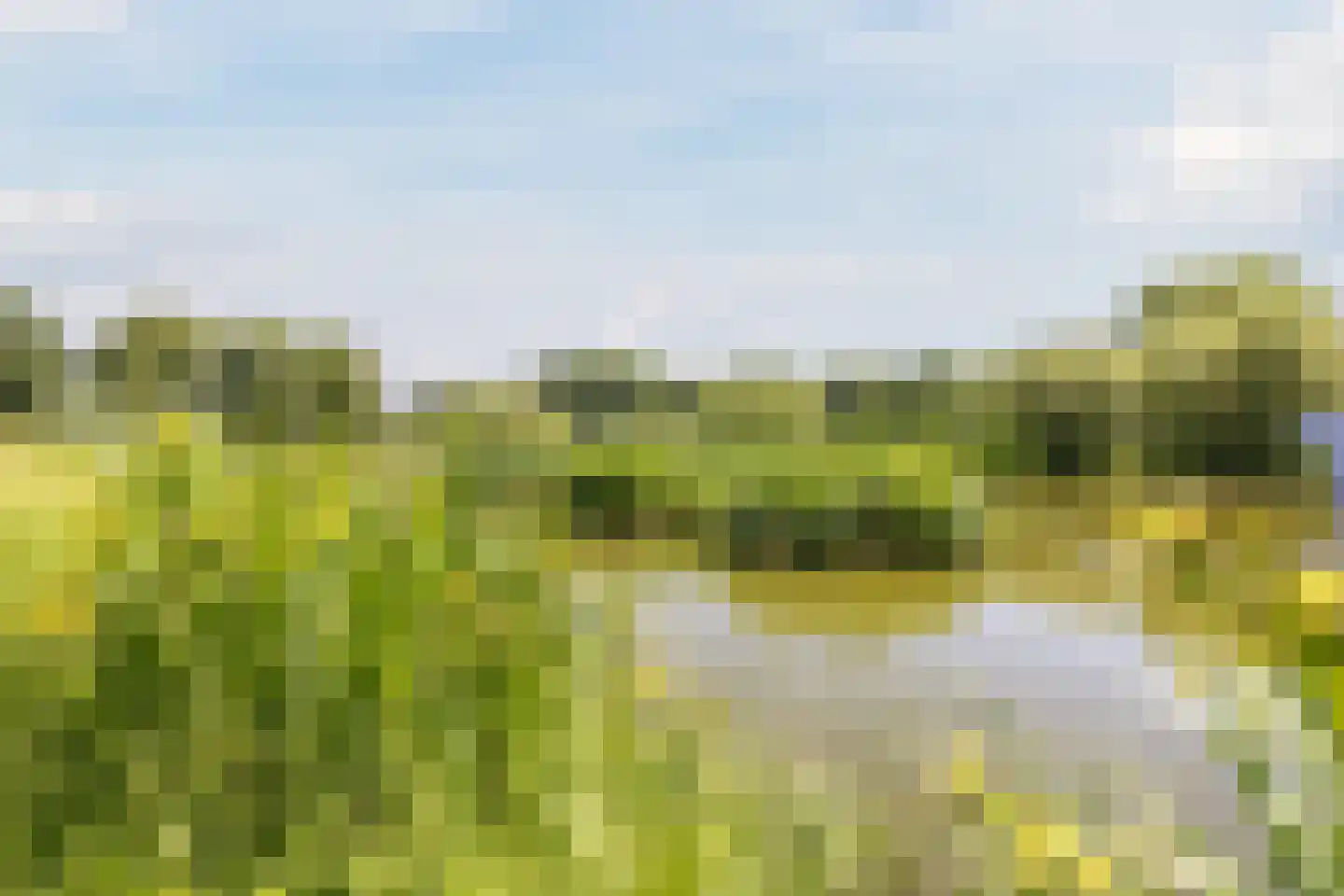 Grebbe 7 Rotterdam thumbnail 36