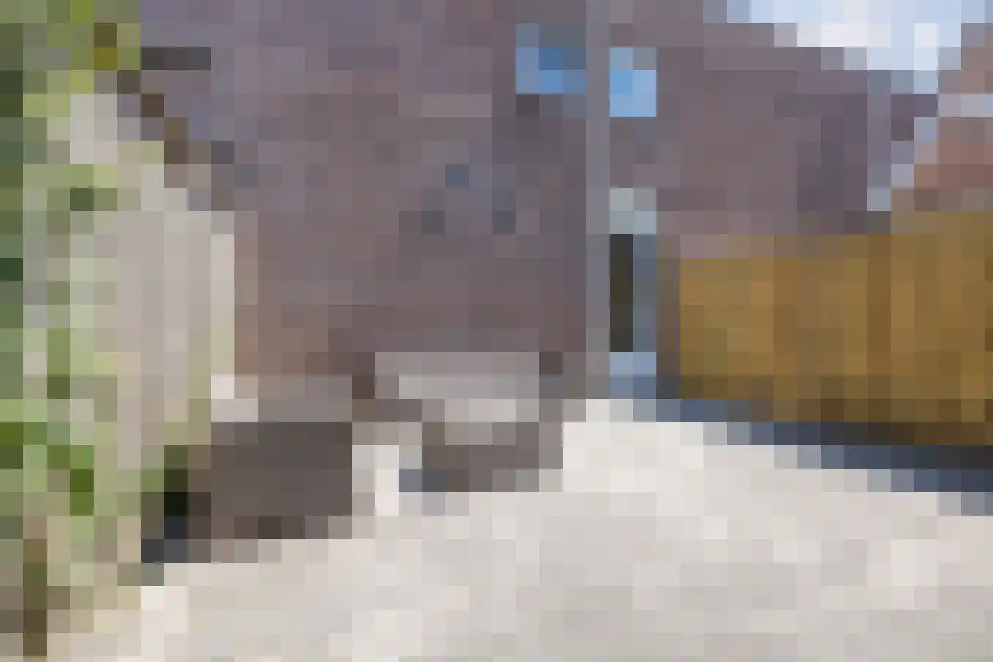 Grebbe 7 Rotterdam thumbnail 8