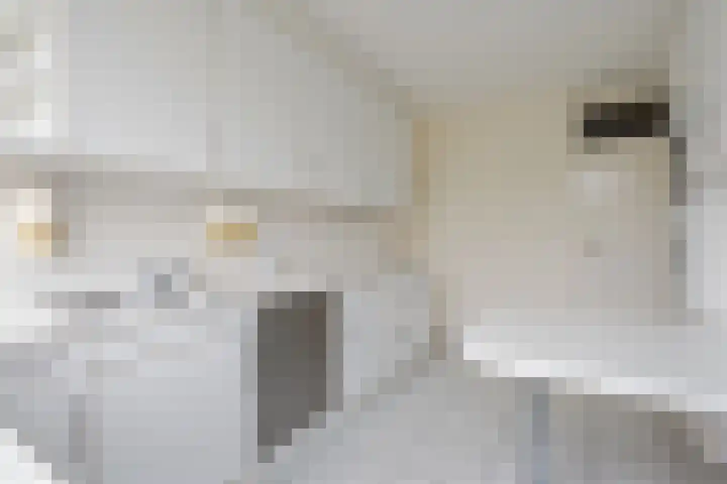 Grebbeberglaan 46 Eindhoven thumbnail 12