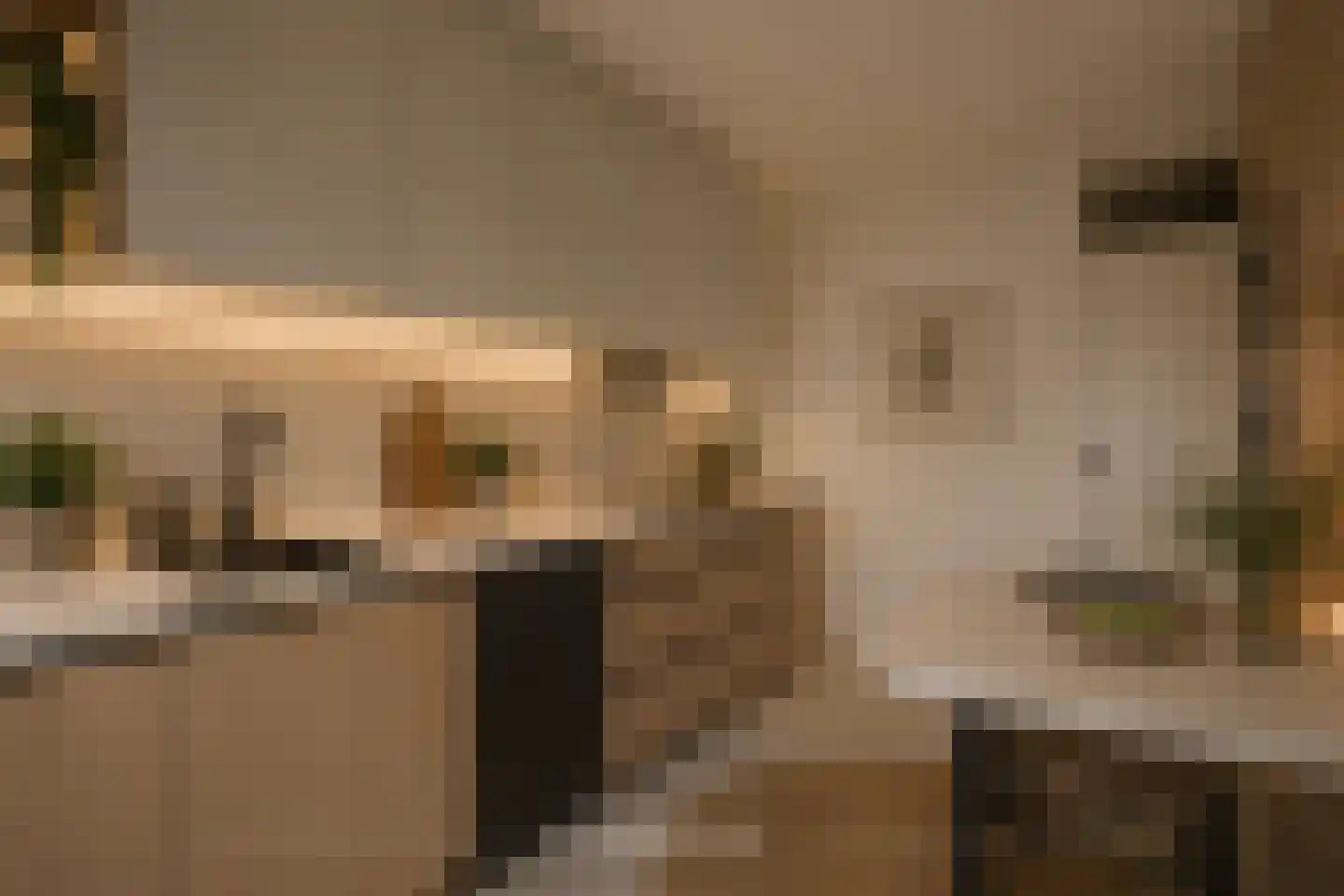 Grebbeberglaan 46 Eindhoven thumbnail 13