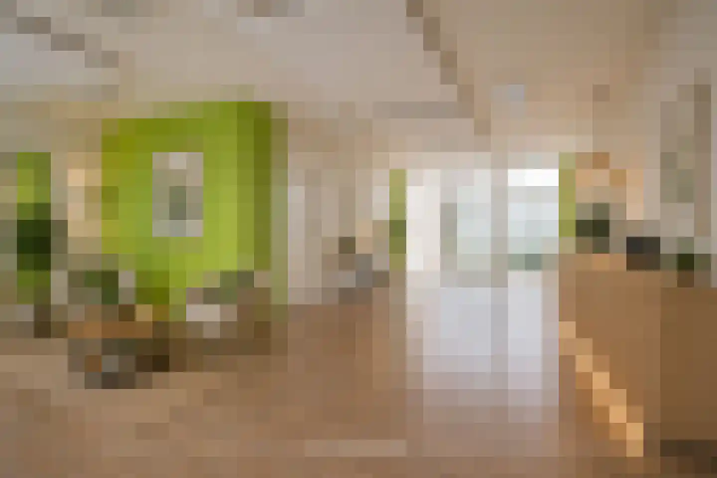 Grebbeberglaan 46 Eindhoven thumbnail 17