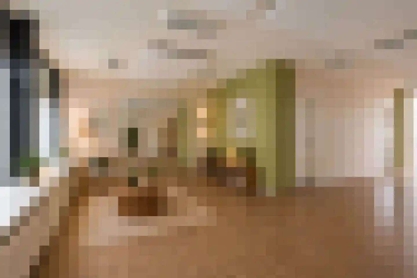 Grebbeberglaan 46 Eindhoven thumbnail 19