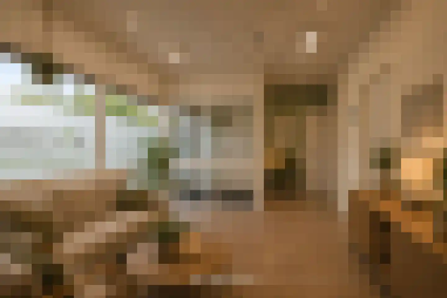 Grebbeberglaan 46 Eindhoven thumbnail 32